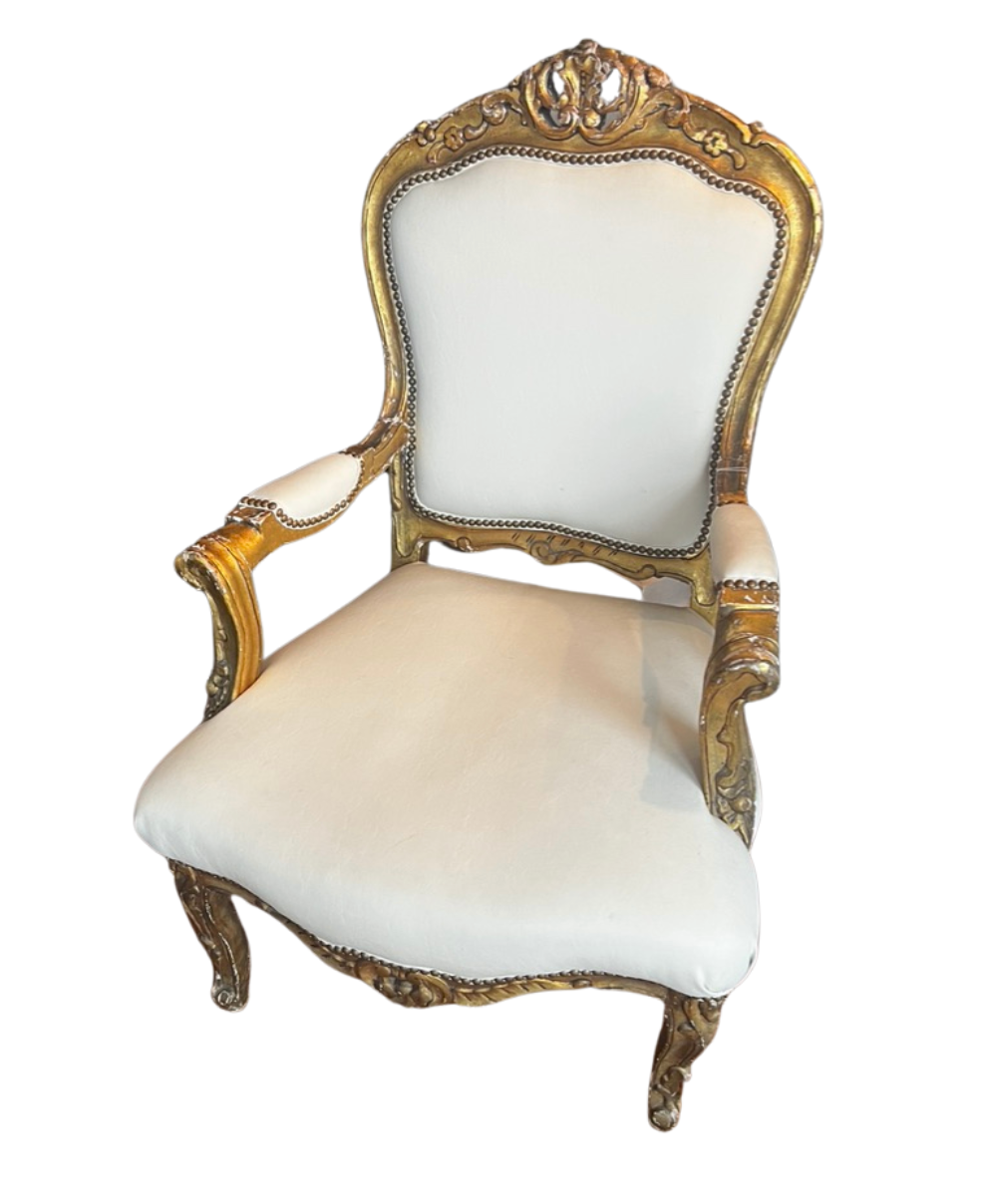 Bergere Leather Chair