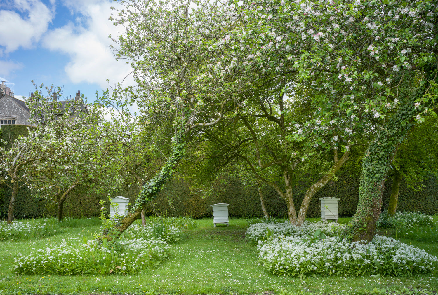 Three Hives at Levens Hall in the Lake